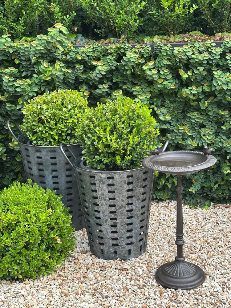 Petite Bird Bath