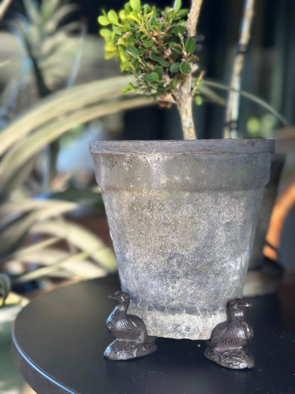 Duck Pot Feet - Set of 3