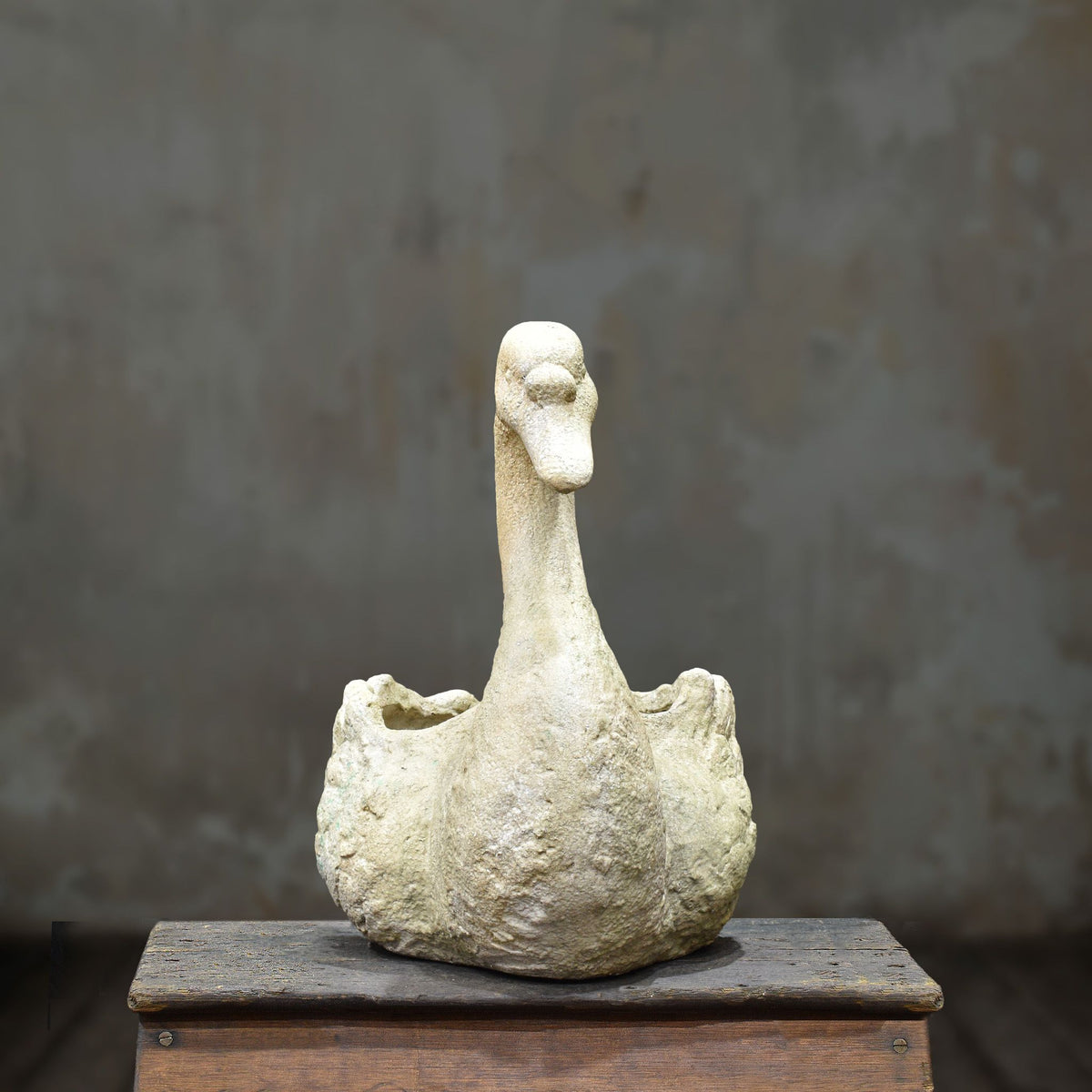 Front view of cement swan planter with upright curved neck