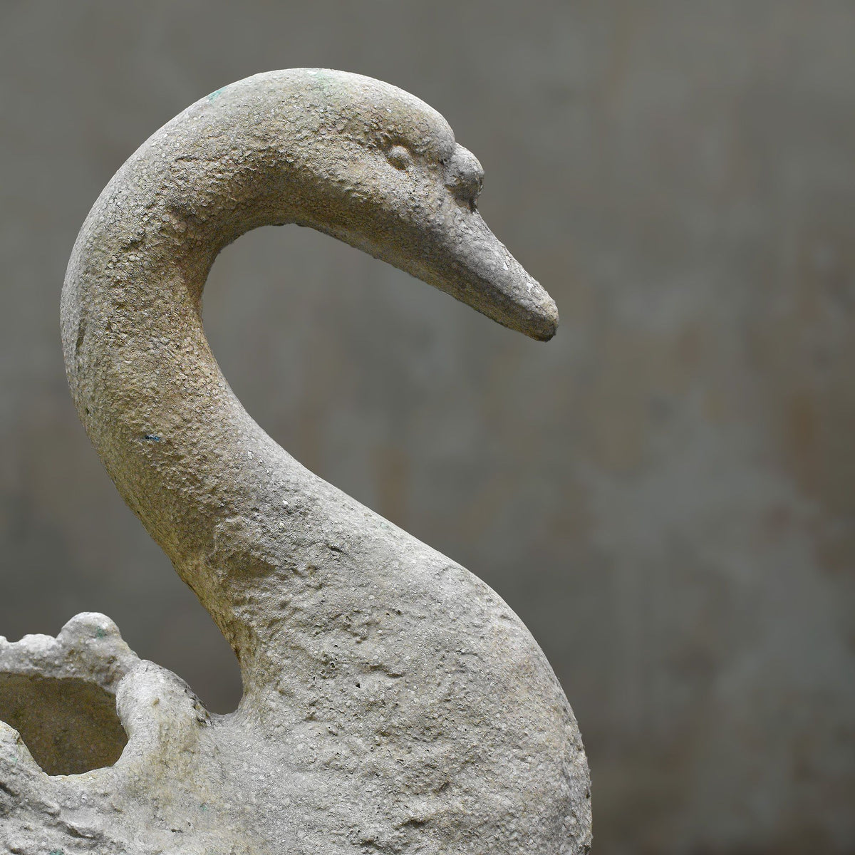 Close-up of cement swan planter head and curved neck