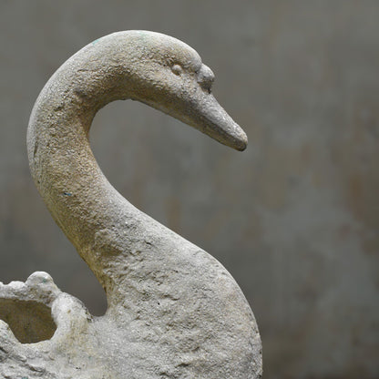 Close-up of cement swan planter head and curved neck