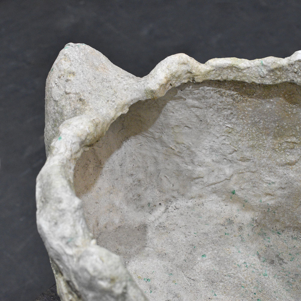 Interior planting cavity and textured rim of cement swan planter