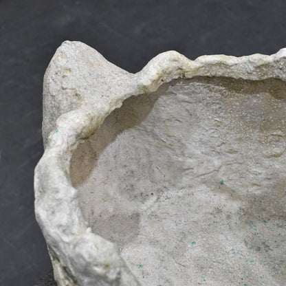 Interior planting cavity and textured rim of cement swan planter