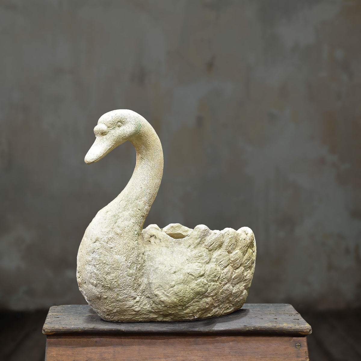 Reverse side of cement swan planter with sculpted feather detail
