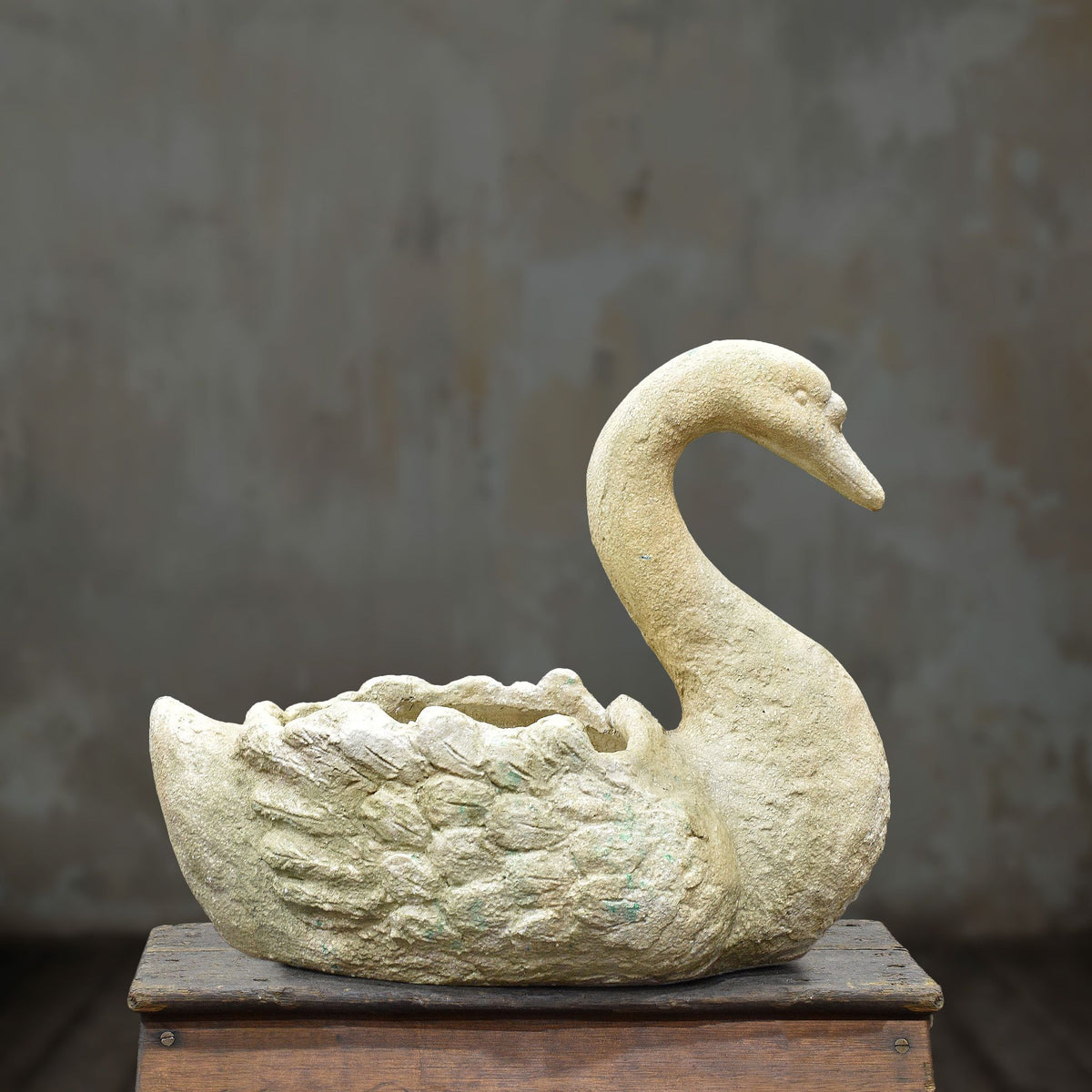 Side view of cement swan planter with weathered stone appearance