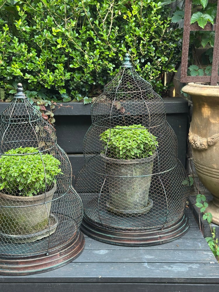 Beehive Garden Cloche Set