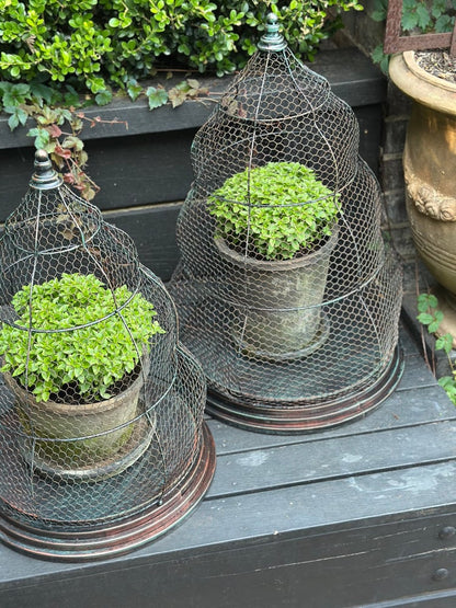 Beehive Garden Cloche Set