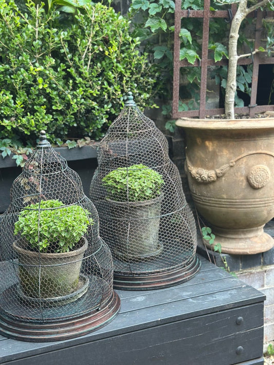 Beehive Garden Cloche Set