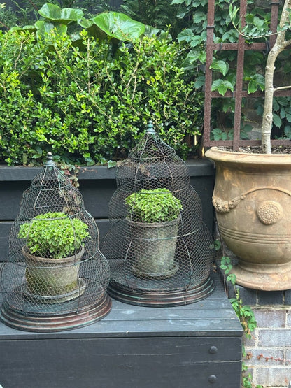Beehive Garden Cloche Set