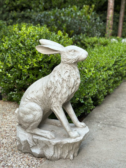 Entrance Hare
