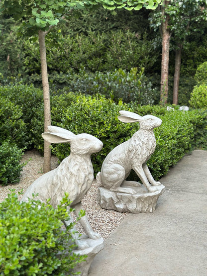 Entrance Hare