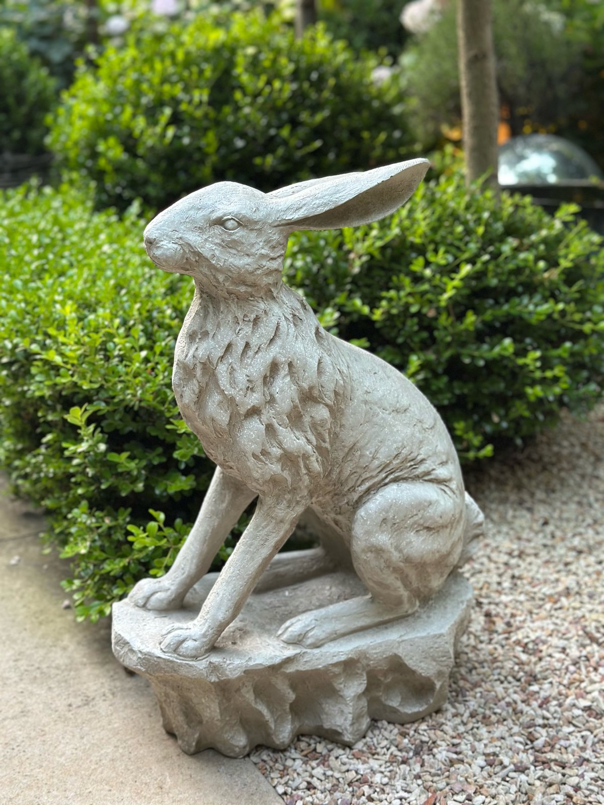 Entrance Hare