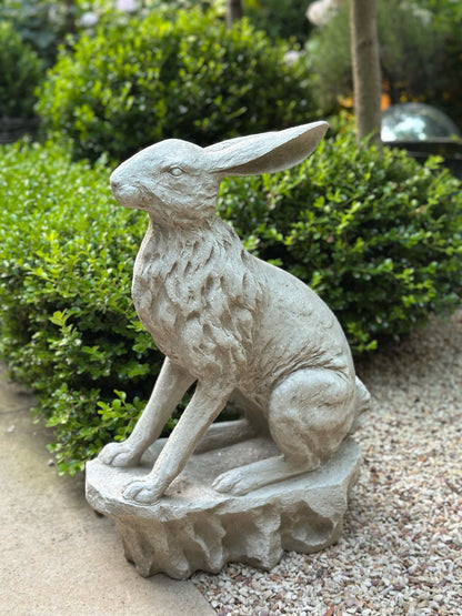 Entrance Hare
