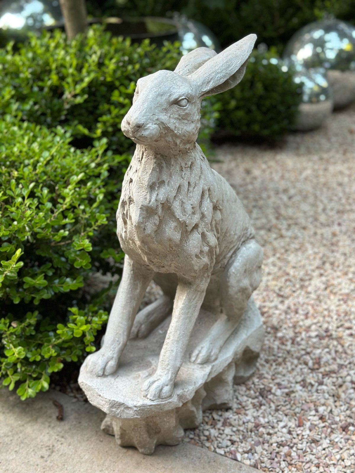 Entrance Hare