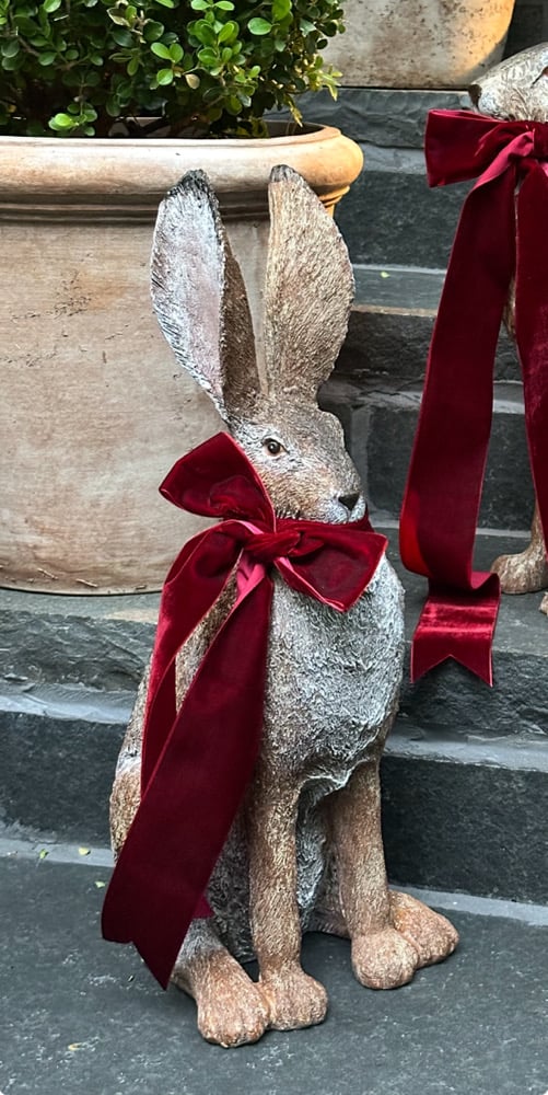 Alert Garden Hare