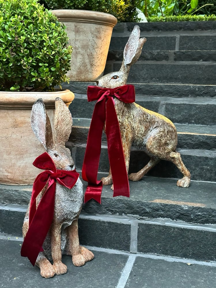 Alert Garden Hare