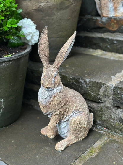 Listening Garden Hare