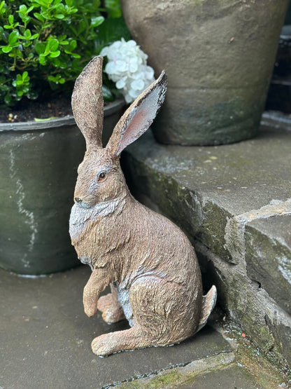 Listening Garden Hare