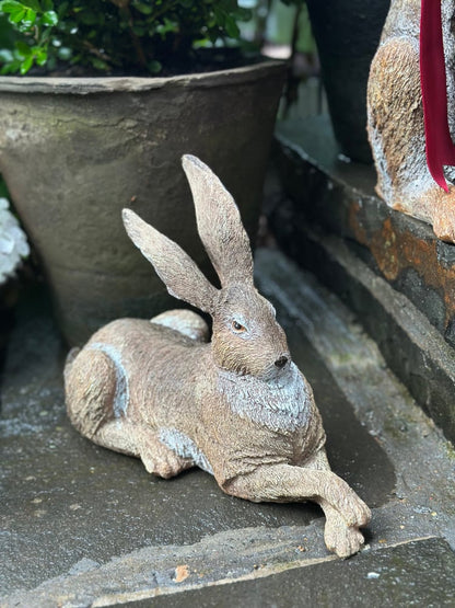 Relaxing Garden Hare