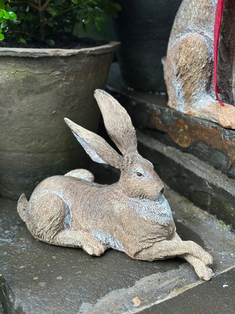 Relaxing Garden Hare