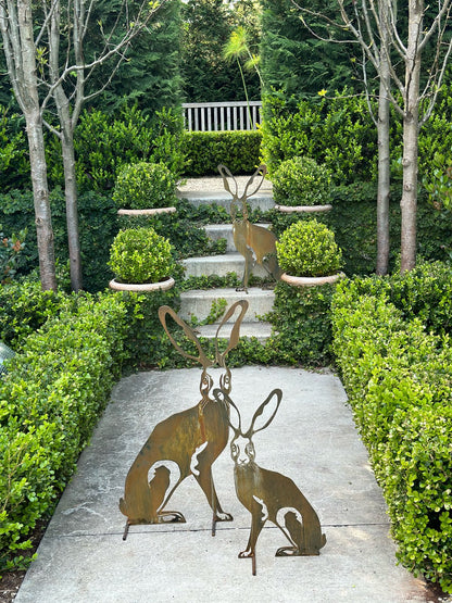 Harolds Hare