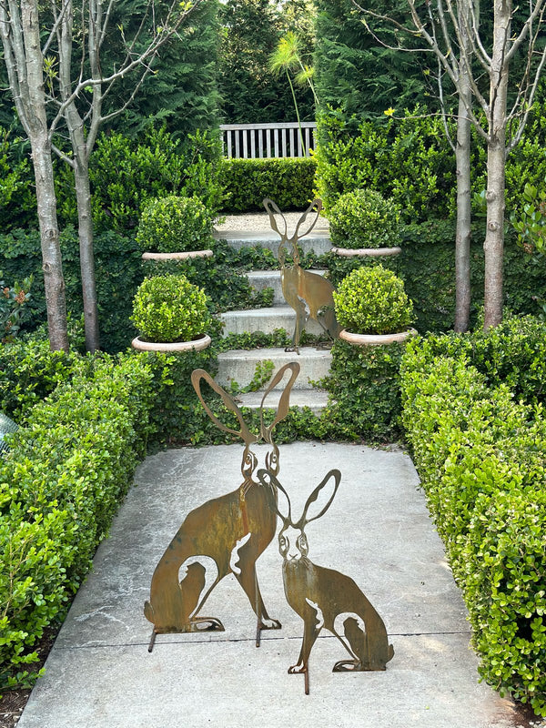 Harolds Hare