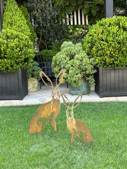 Harolds Hare
