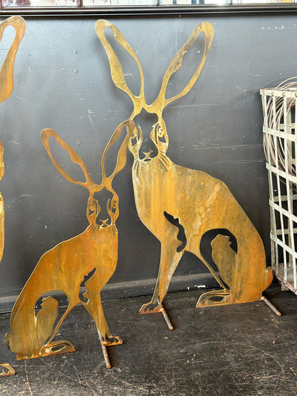 Harolds Hare