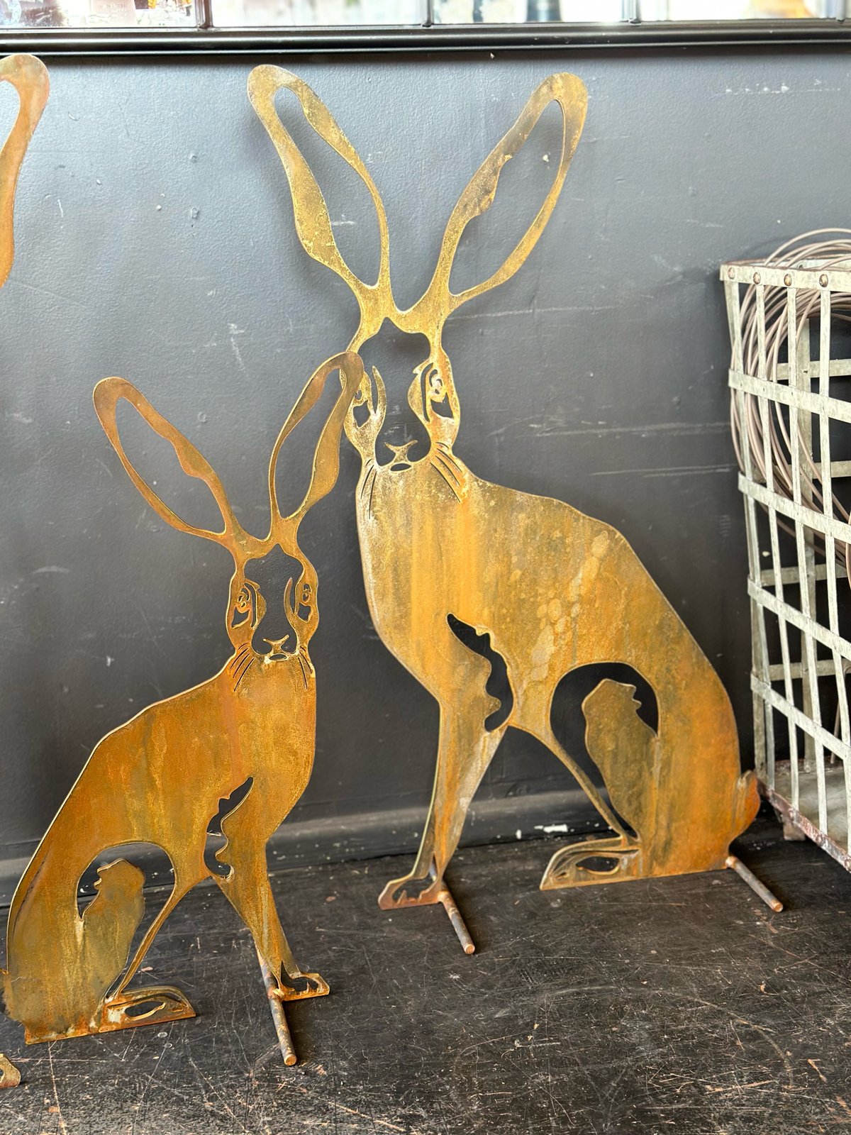 Harolds Hare