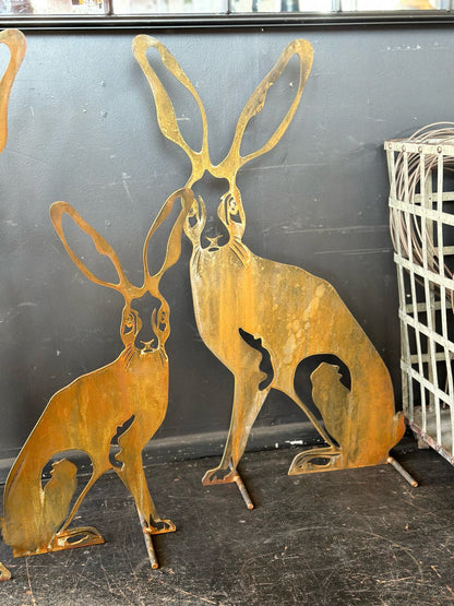 Harolds Hare