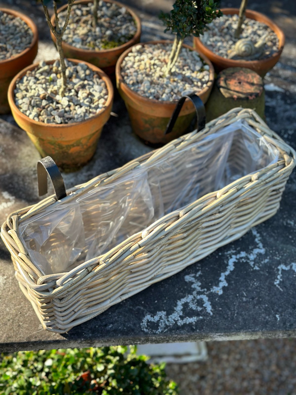 Harolds Signature Hanging Rattan Planter