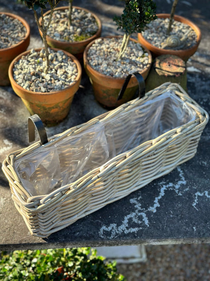 Harolds Signature Hanging Rattan Planter