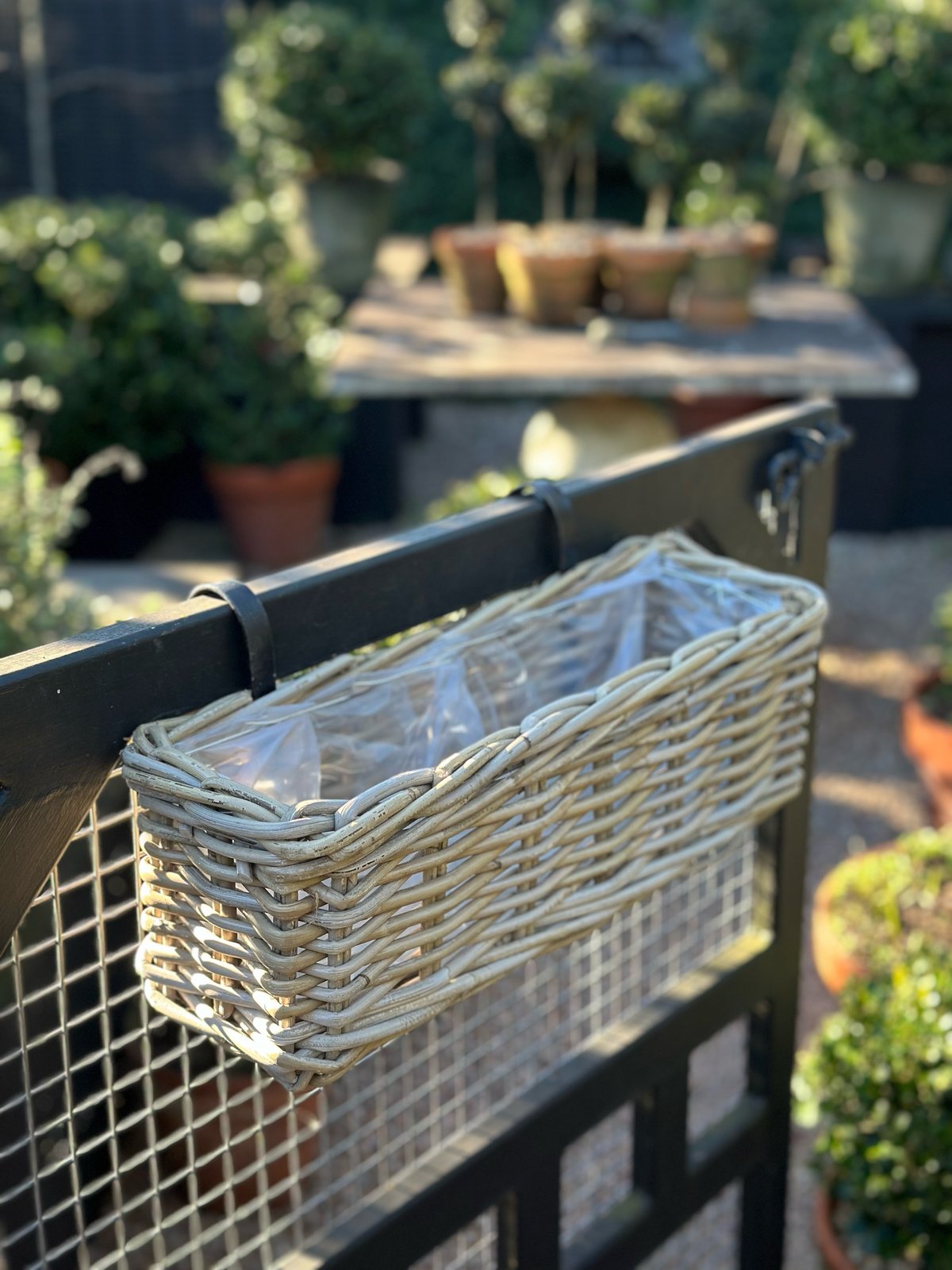 Harolds Signature Hanging Rattan Planter