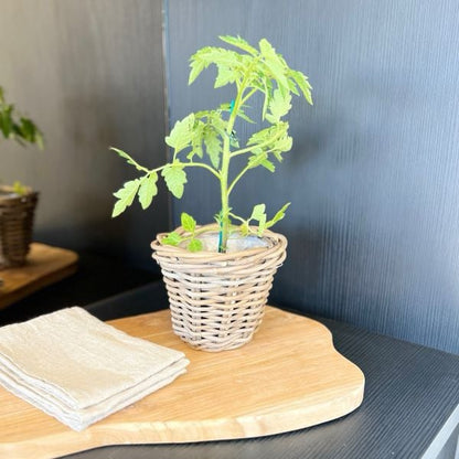 Herb Basket