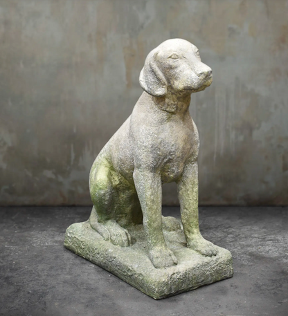 A weathered stone dog statue, likely a retriever, shown sitting on a rectangular base against a textured gray concrete wall.
