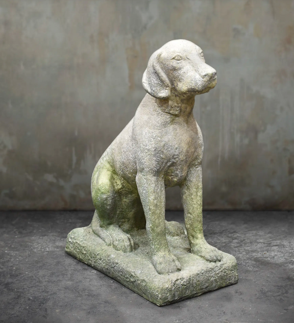 A weathered stone dog statue, likely a retriever, shown sitting on a rectangular base against a textured gray concrete wall.