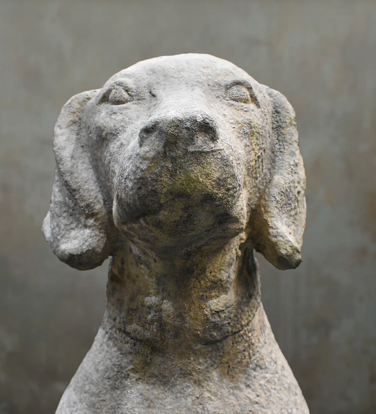 A close-up of a stone dog sculpture with a weathered, textured finish, set against a neutral gray background.