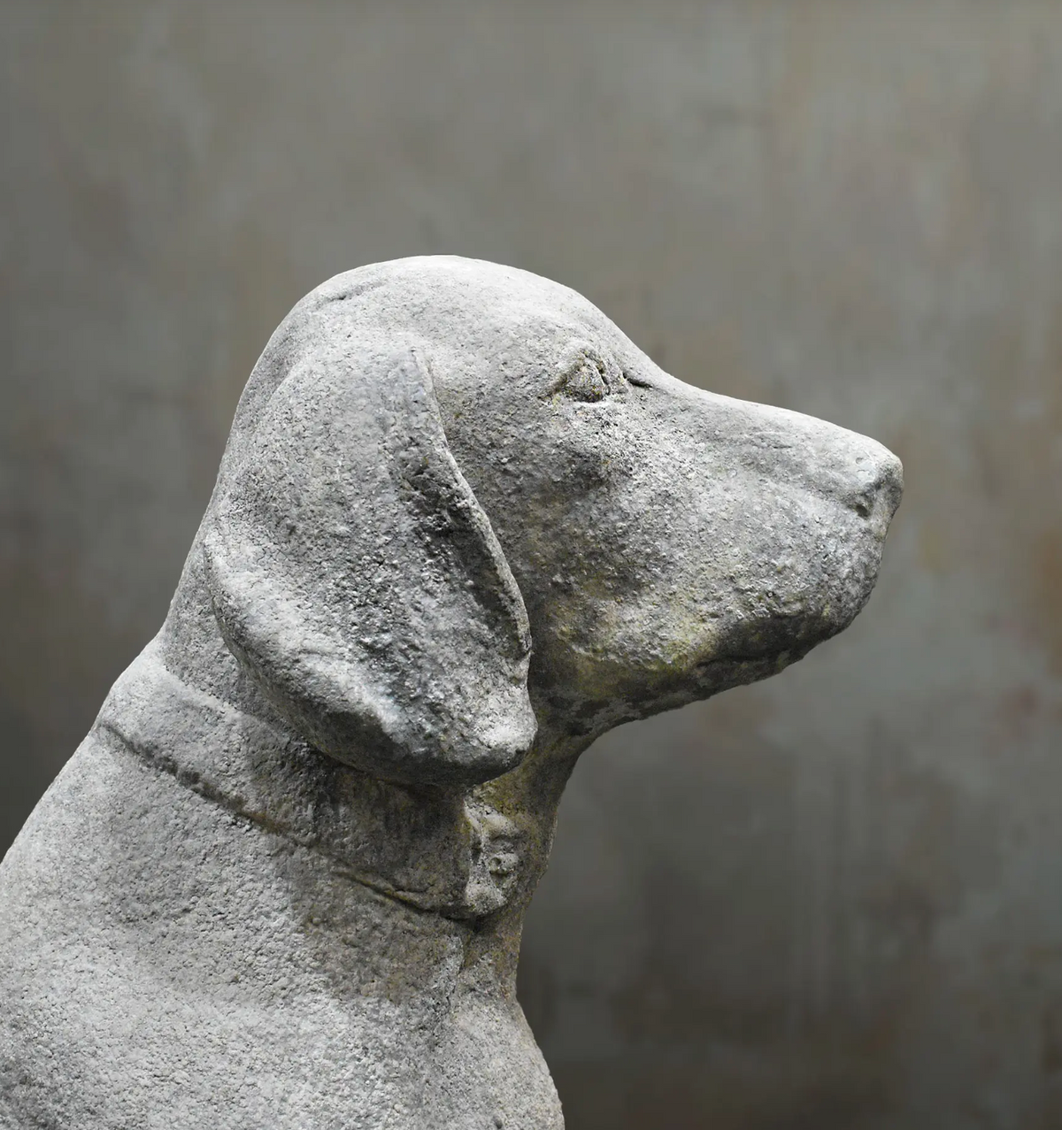 A close-up side profile of a textured gray stone dog statue against a neutral gray background.