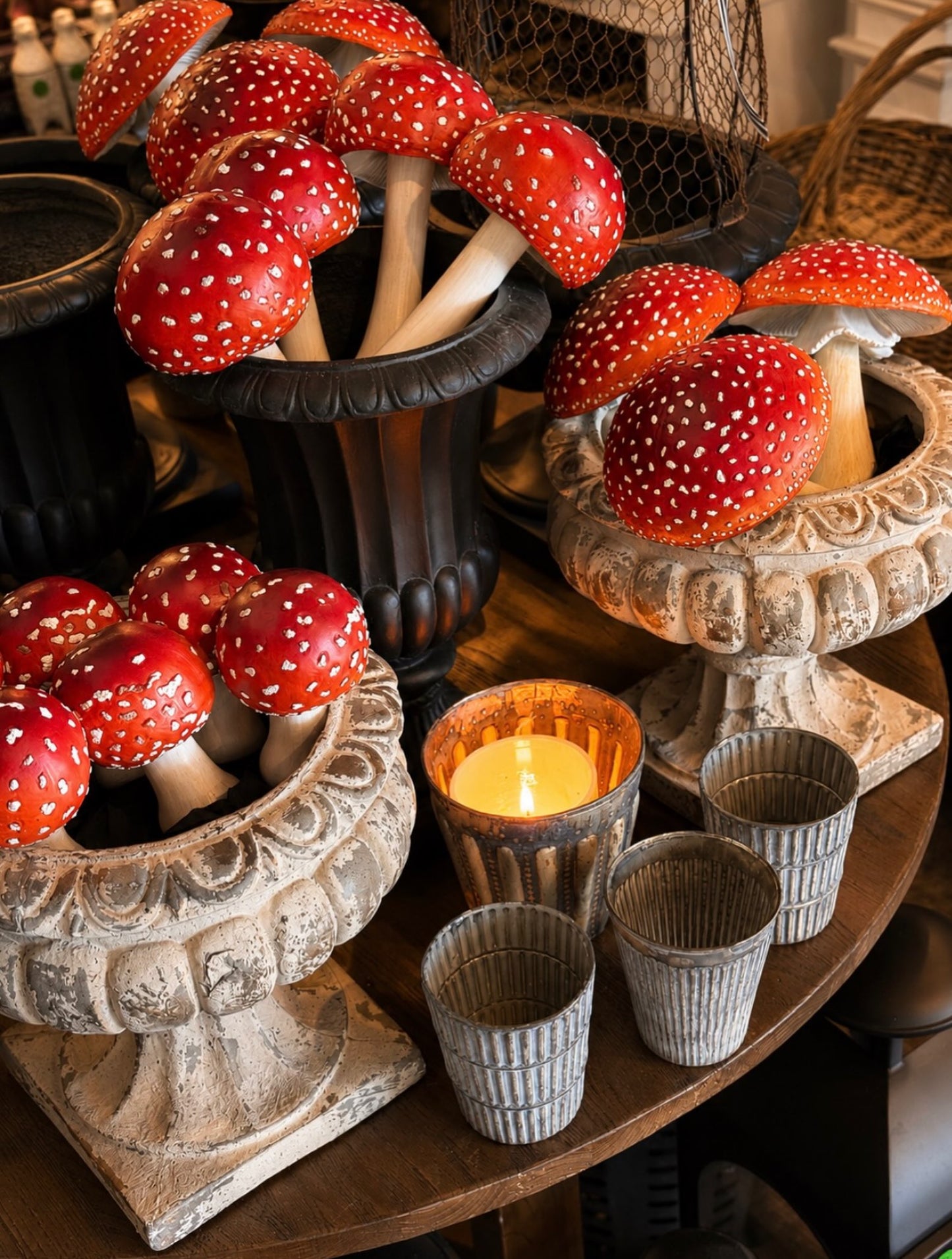 Amanita mushroom - HAROLDS