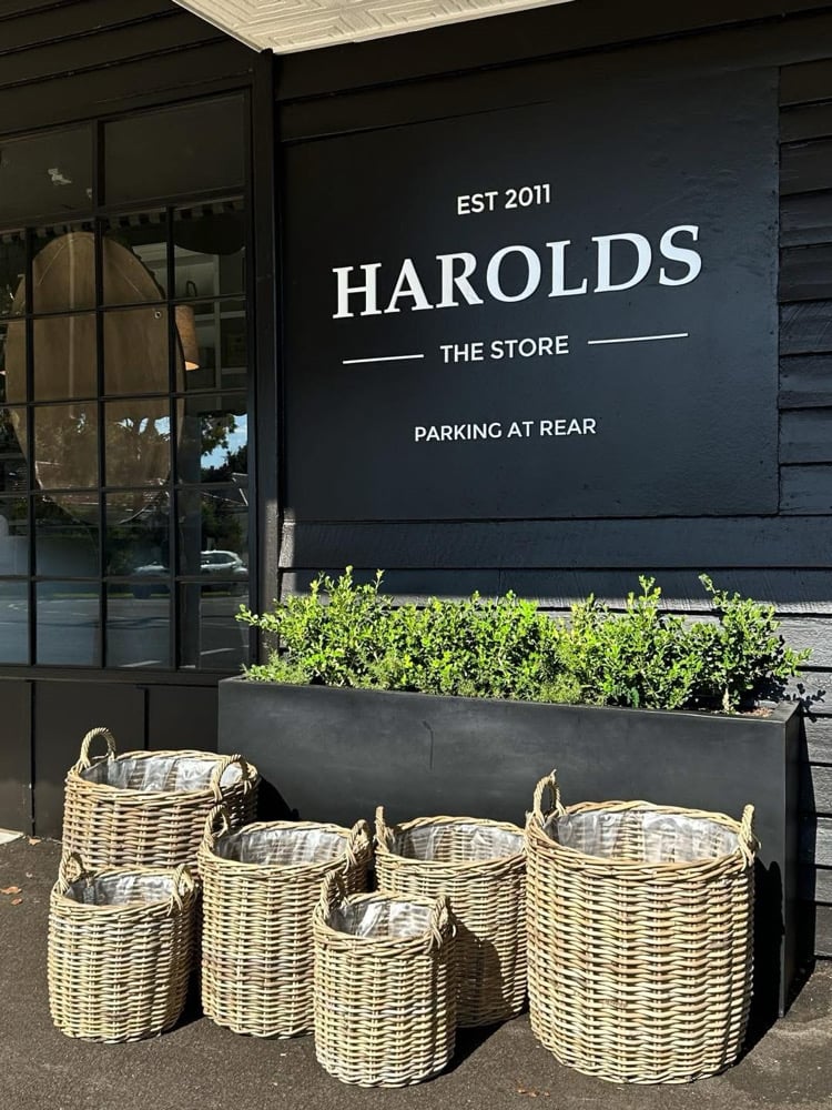 Harolds Signature Basket - Lined