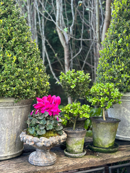 Aged Patina Low Planter