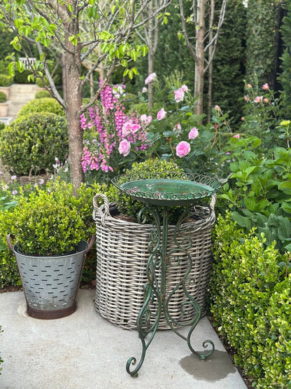 Orangerie Bird Bath