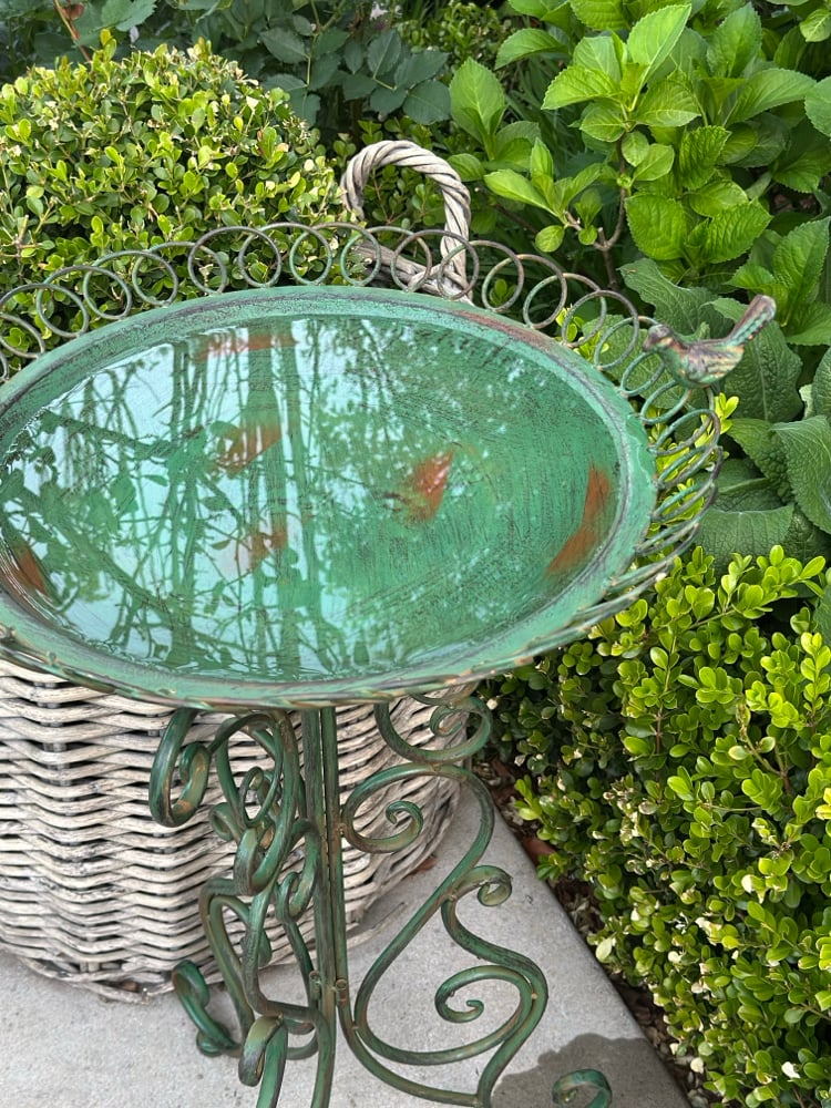 Orangerie Bird Bath