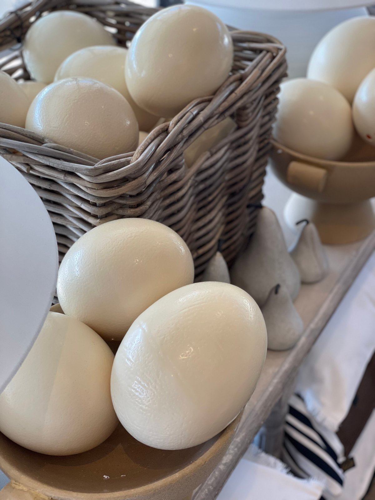 Hand Blown Ostrich Egg