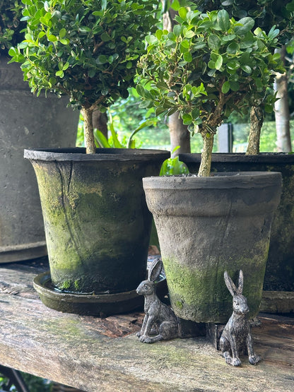 Rabbit Pot Feet - Set of 3