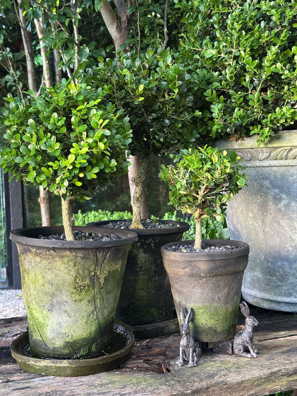Rabbit Pot Feet - Set of 3