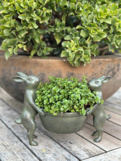 Bunny Pot Holder