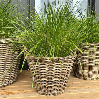 Harolds Signature Basket - Lined Tapered