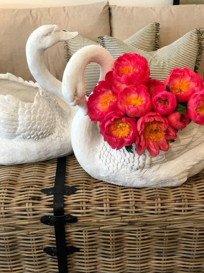 Swan Planter