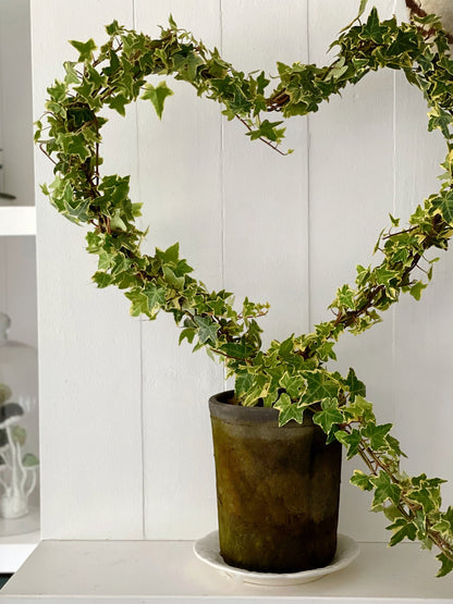 Wire Topiary Trainer